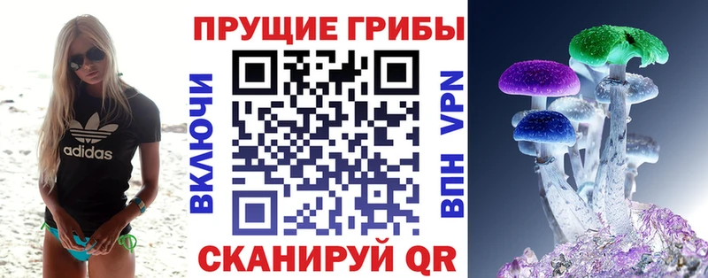 darknet наркотические препараты Велиж Псилоцибиновые грибы ЛСД МЕГА рабочий сайт